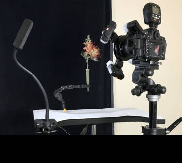 Behind the scenes image of David Leaser's focus stacking shoot of macro flower photography.