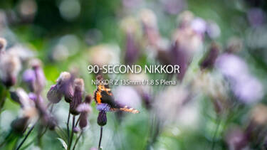 For Nikon Magazine's 90 NIKKOR articles 