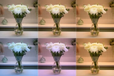 Nikon magazine - camera 101 White balance