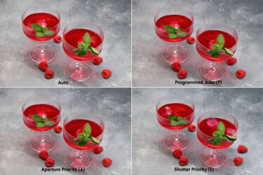 Nikon magazine - camera 101