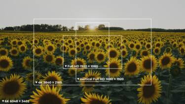 nikon-image