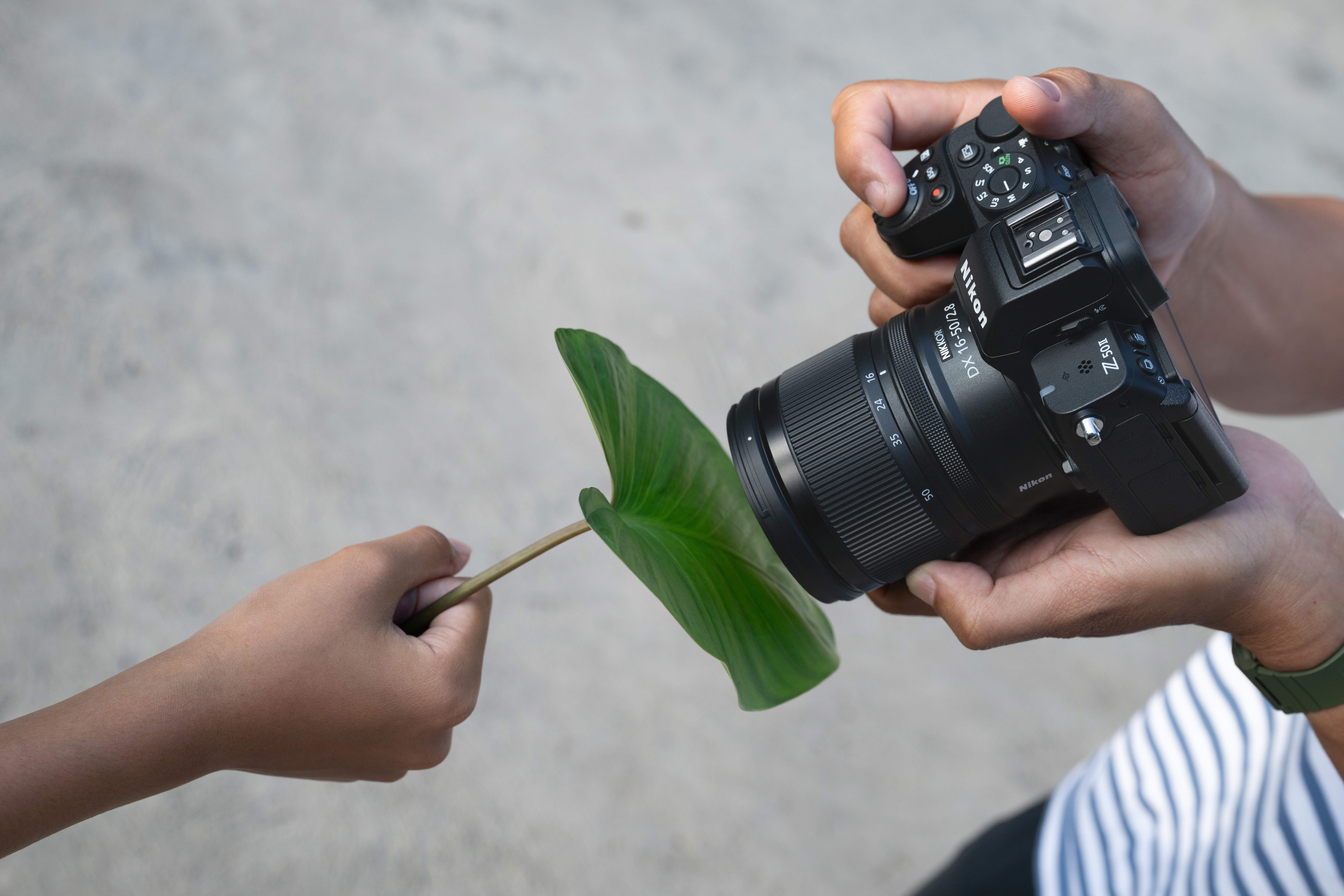 nikon-image