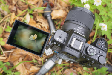 Nikon magazine - macro photography with spring flowers