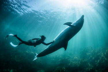 Nikon magazine - George Karbus underwater with the ZR